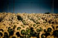 /album/fotogaleria/f5-jpg1/